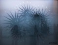 /album/apocalypse-now-ou-lille-3000-album-2-/tableau-interactif-jpg/